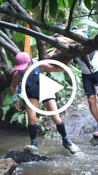 BIB:  <button type="button" onclick="openModal(27824703)" class="btn btn-primary btn-sm float-right" data-toggle="modal" data-target=".modal-high-quality">
                <i class="fa fa-download"></i> Download
                </button>